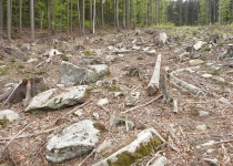  - Těžba č. 2: provedena v drsném terénu v lesích s půdoochrannou funkcí