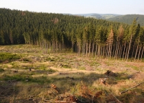  - Rozsáhlé těžby se vznikem holin v oblasti Suchého vrchu, 2.zóna CHKO Jeseníky