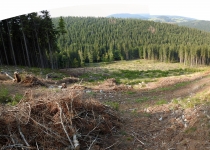  - Rozsáhlé těžby se vznikem holin v oblasti Suchého vrchu, 2.zóna CHKO Jeseníky