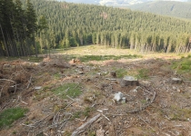  - Rozsáhlé těžby se vznikem holin v oblasti Suchého vrchu, 2.zóna CHKO Jeseníky