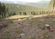  - Rozsáhlé těžby se vznikem holin v oblasti Suchého vrchu, 2.zóna CHKO Jeseníky