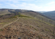  - pohled z vrcholu Větrné (800 m.n.m.) ukazuje obří rozměr destrukce horských lesů na vysychající polopoušť...