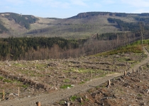  - ...včetně masivu Kutného vrchu (869 m.n.m.)...