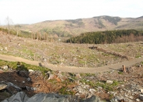  - ...a Solné hory (868 m.n.m.). Obří rozměr destrukce horských lesů a jejich přeměna na vysychající polopoušť...