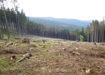  - 56:Rozsáhlá holina ve 2.zóně CHKO na západ od rezervace, nedaleko hranice rezervace