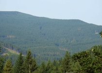  - 2: údolí a svahy Medvědího vrchu (1216 m.n.m.) v hospodářském lese mimo rezervaci jsou plné ohnisek kůrovce...