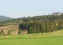  - 2:východní hranice NPR Rejvíz (na mapě bod 1)-rozsáhlé holoseče a holiny mimo rezervaci na Zámeckém pahorku (868 m.n.m.)