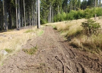  - 16: (na mapě bod 6)- a o kus dál a výše na vrcholu Přední Jestřábí se ve 2.zóně provádí intenzivní těžby