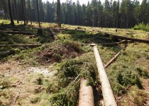  - 22: (na mapě bod 7)- další nová těžba ve 2. zóně, cca 200 metrů od hranice rezervace