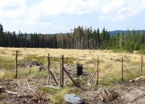  - 32: (na mapě bod 10)- Přestože je oblast „chráněna“ jako EVL Rejvíz, velká část horských lesů na západní hranici NPR (mimo rezervaci) je dnes zničena...