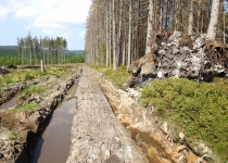  - 36: (na mapě bod 12) plošné odlesnění až na hranici NPR a velká erozní rýha po těžbě.