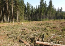  - 7: jde přitom o 2.zónu CHKO, lesy na vrcholu Přední Jestřábí (868 m.n.m.) se plošně rozpadají